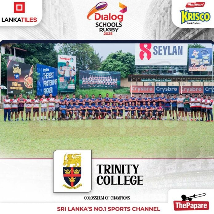 Trinity Preview Pic