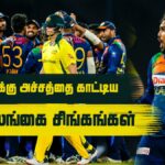 Tamil Cricketry