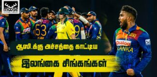 Tamil Cricketry