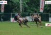St. Anthony’s Edge Past D.S. Senanayake in Pallekele Thriller