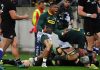 Bleeding Green..the Boks arise Bleeding Green..the Boks arise