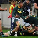 Bleeding Green..the Boks arise