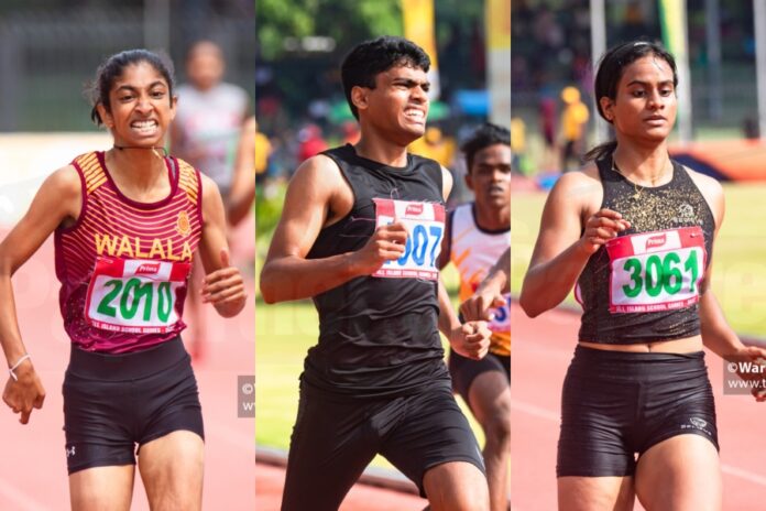 all island games day-03 - cover