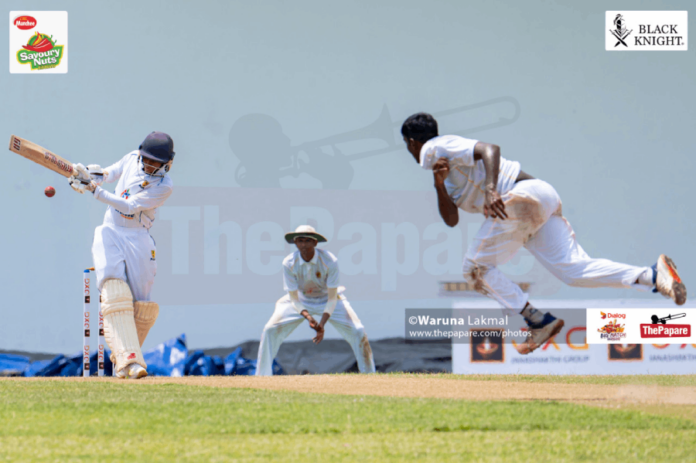 Cricket Cricket