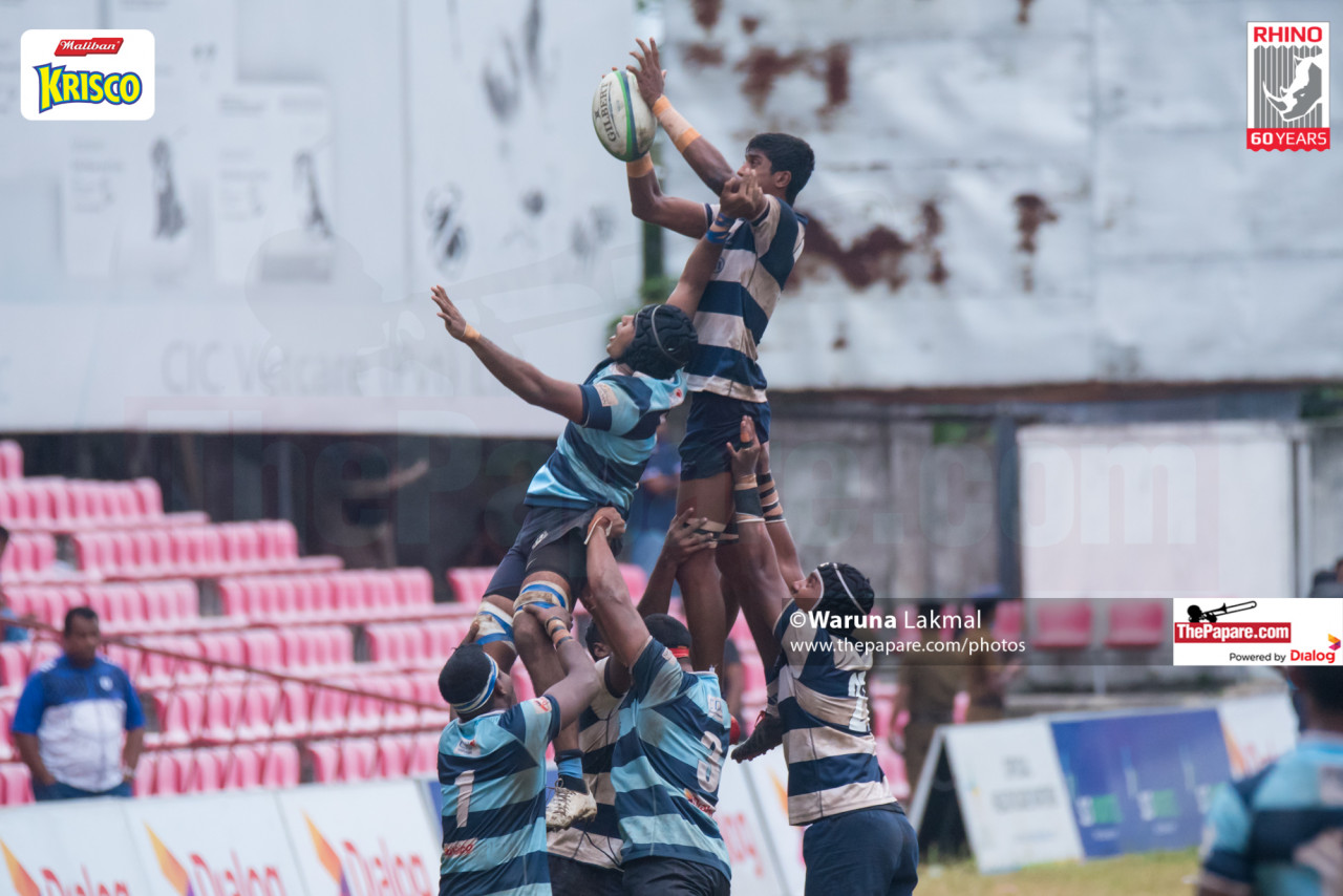 papare rugby live