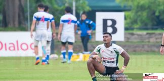 rugby