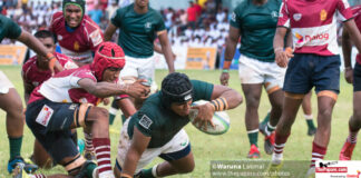 Dialog Schools Rugby