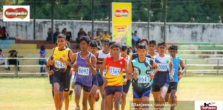 Photos – Samaposha Provincial Games 2026 – North Central Province – Day 04 Samaposha Provincial Games 2026 - North Central Province
