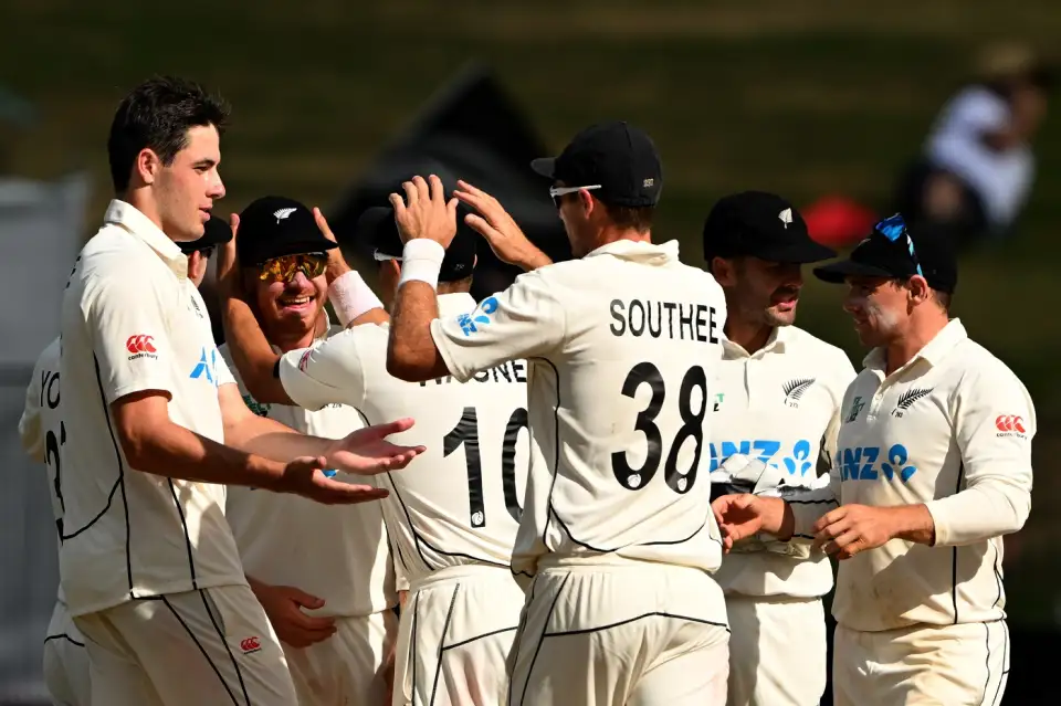 Cricket