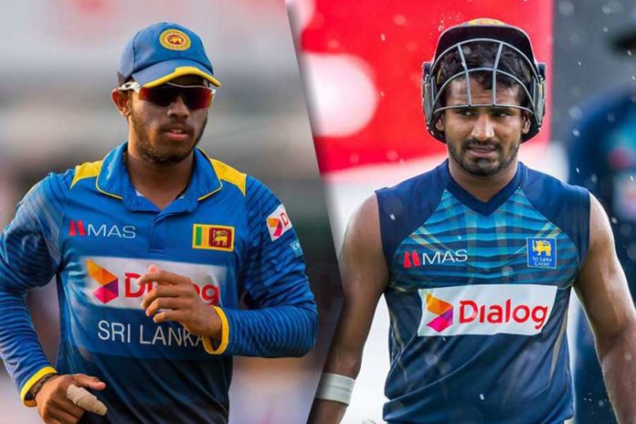 k&k Kusal In, Kusal Out