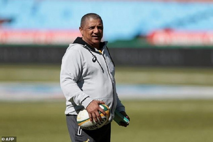 Boks begin journey of discovery against Pumas