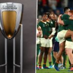 Springboks pull out from Rugby Championship