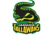 ගේල්ගේ සැර වීඩියෝවට Tallawahsගෙන් පිළිතුරු Tallawahs management