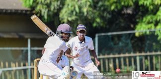 schools cricket