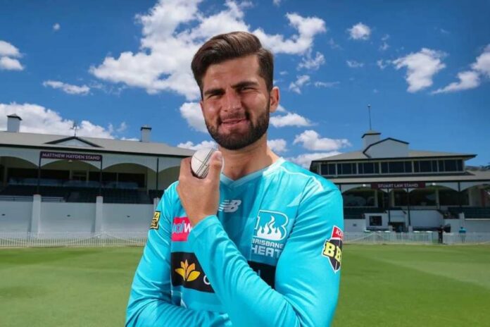 shaheen shah afridi shaheen shah afridi